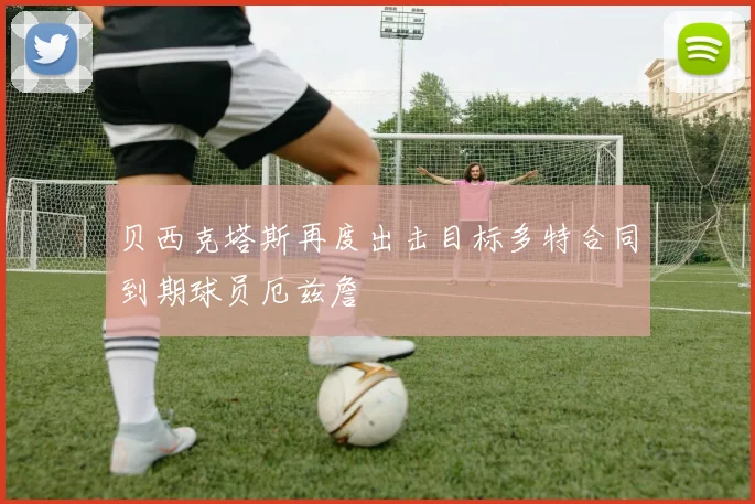 贝西克塔斯再度出击目标多特合同到期球员厄兹詹